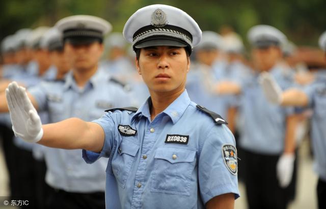 协警最新政策解读与探讨，深度分析与应用前景